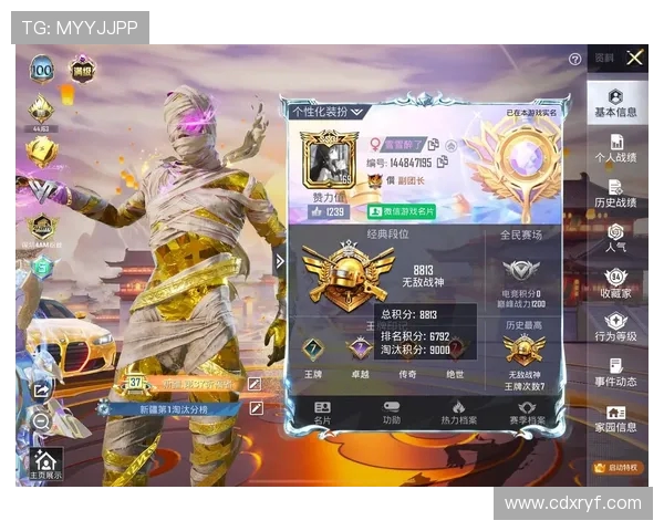 和平精英巨献：深入解析LNG技术背后的创新与应用